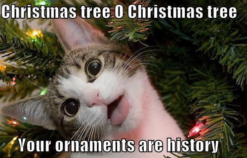 Christmas tree O Christmas tree Your ornaments are history.