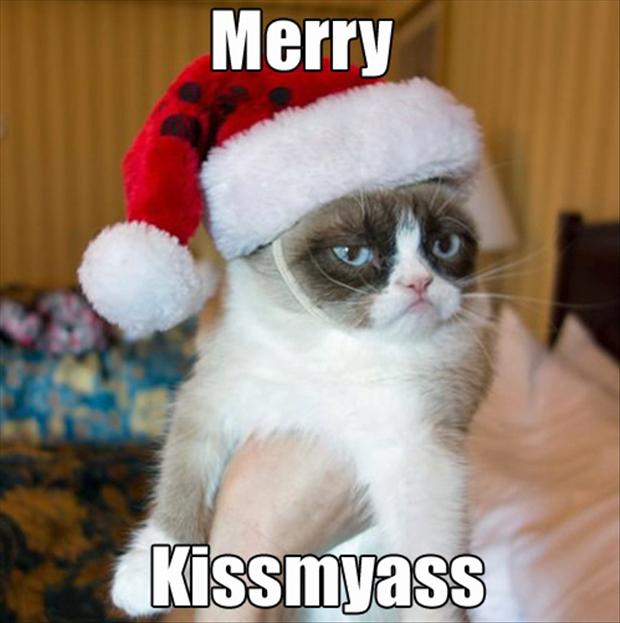 Merry Kiss my ass.