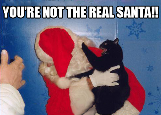 You're not the real Santa!!