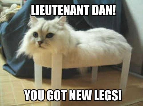 Lieutenant Dan! You got new legs